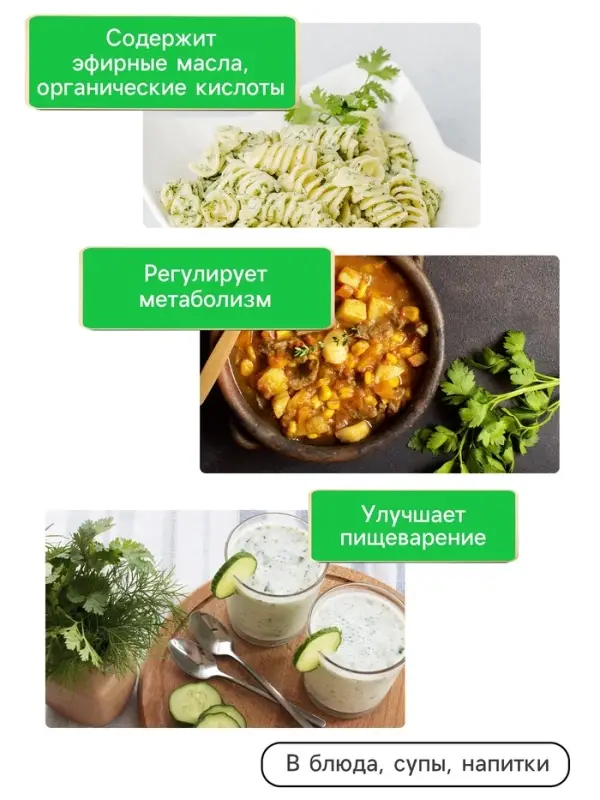 Семена Петрушка кудрявая &laquo;Мооскраузе&raquo;, 2 г, &laquo;Рецепты дедушки Никиты&raquo;