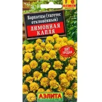 Набор семян цветов Бархатцы