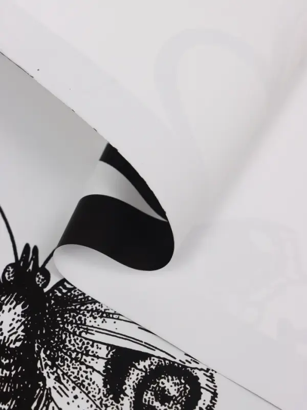 Пленка для цветов, "Бабочки и сердца", 57х57 см