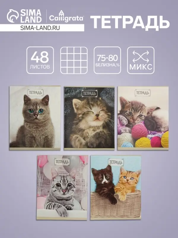 Тетрадь 48 листов в клетку Calligrata «Милые котята», обложка мелованный картон, блок №2, белизна 75% (серые листы), МИКС