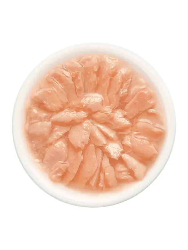 Влажный корм для кошек &laquo;Деревенские лакомства&raquo;, филейный лосось в нежном желе, пауч, 70 г