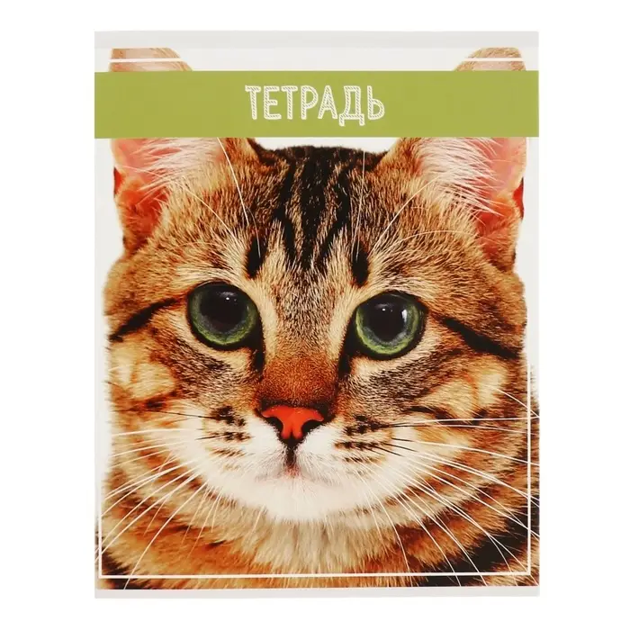 Тетради 5 штук 36 листов в клетку &laquo;Кошки&raquo;, обложка мелованная бумага, блок №2, белизна 75%, (4 разные, 1 повторяющаяся)