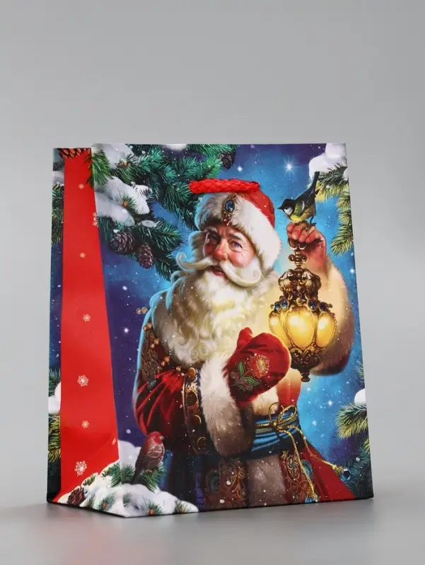 Пакет подарочный новогодний ламинированный, «Синички» , 11.5×6.5×14.5 см Пакет подарочный новогодний ламинированный, «Синички» , 11.5×6.5×14.5 см