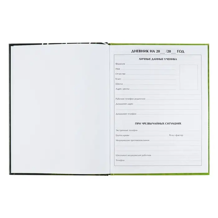 Дневник универсальный для 1-11 классов, "Футбол", твердая обложка 7БЦ, глянцевая ламинация, 40 листов