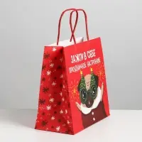 Пакет подарочный новогодний «Зажги в себе», 22 х 22 х 11 см Пакет подарочный новогодний «Зажги в себе», 22 х 22 х 11 см