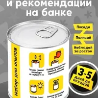 Набор для опытов ЭВРИКИ &laquo;Мой мини-сад&raquo;, подсолнух