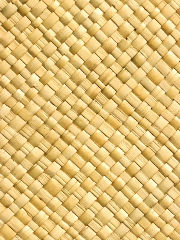 Сумка плетёная на молнии из пандана 41х16х50 см, светло-коричневый Сумка плетёная на молнии из пандана 41х16х50 см, светло-коричневый