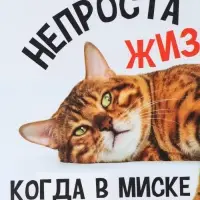 Коврик под миску &laquo;Не проста жизнь кота&raquo;, 43&times;28 см