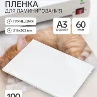 Пленка для ламинирования A3, 100 штук, глянцевая, 60 мкм, 303&times;426 мм