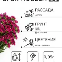Семена цветов Статица &laquo;Суприм карминная&raquo;, 0.15 г, &laquo;ПОИСК&raquo;