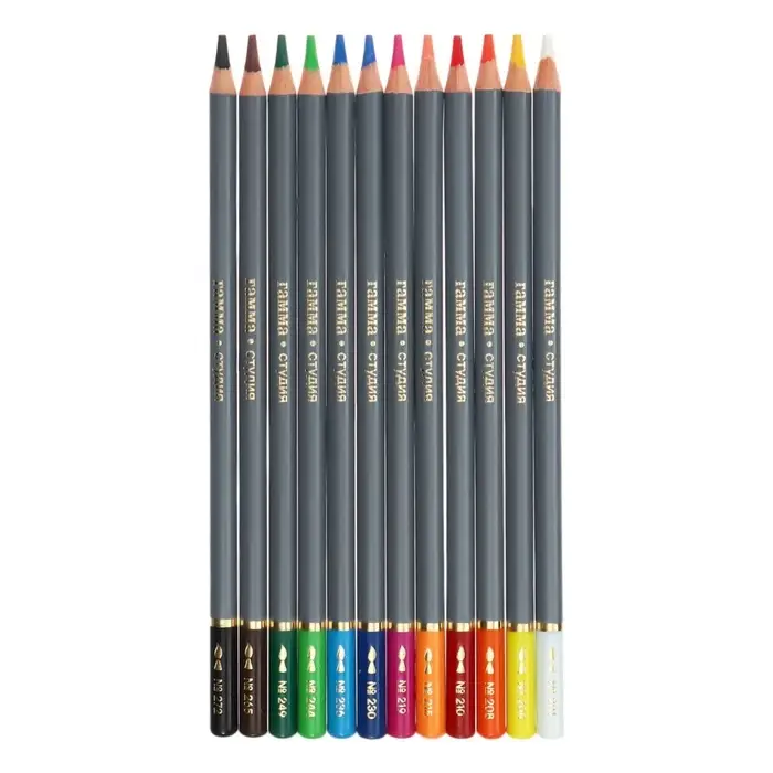 Карандаши цветные акварельные &laquo;Гамма. Студия&raquo; 12 цветов, грифель 3.8 мм, картонная коробка