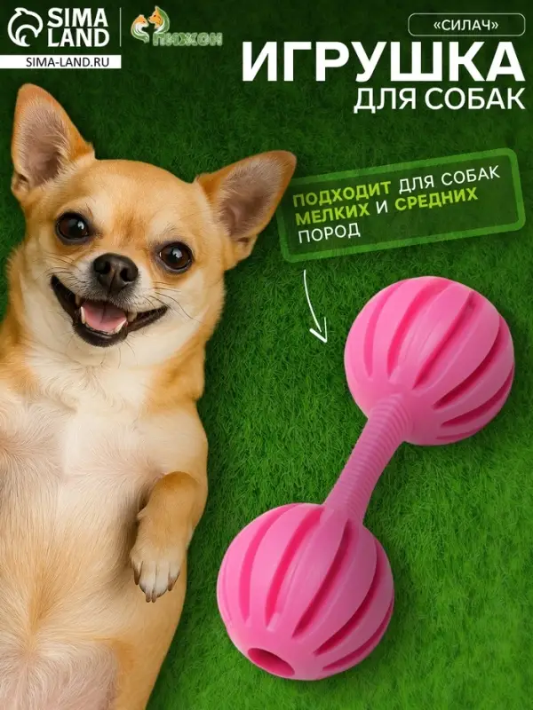 Жевательная игрушка для собак &laquo;Силач&raquo;, 15 см, TPR, розовая