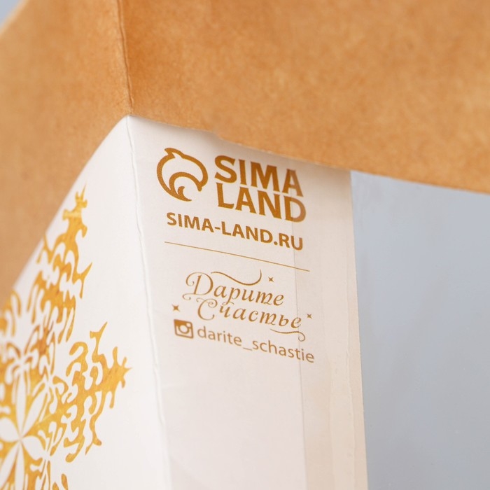 Пакет подарочный новогодний крафтовый с пластиковым окном «Gold», 24 х 20 х 11см Пакет подарочный новогодний крафтовый с пластиковым окном «Gold», 24 х 20 х 11см