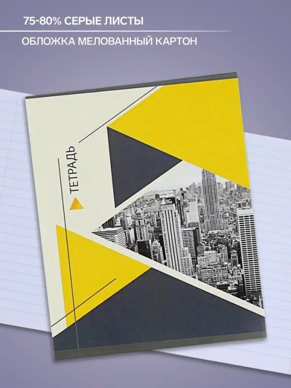 Тетрадь 48 листов в линейку Calligrata «Мегаполис», обложка мелованная бумага, блок №2, белизна 75% (серые листы), МИКС