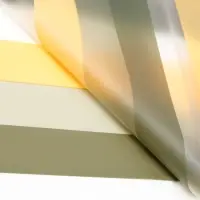 Пленка флористическая, 50 мкм, 58×58±5% см