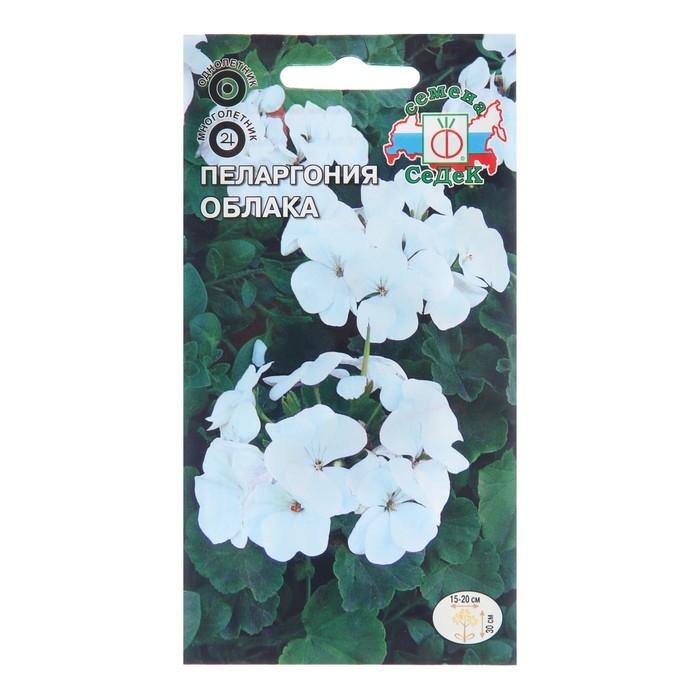 Семена цветов Пеларгония Семена цветов Пеларгония "Облака", Евро, 5 шт