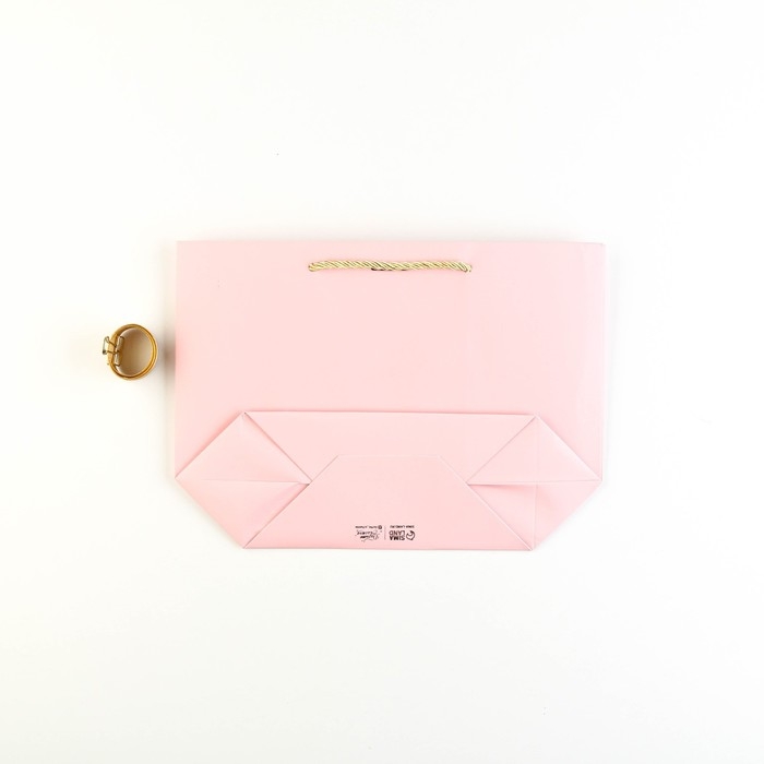 Пакет подарочный, упаковка, «Самой», 19 х 20 х 9 см Пакет подарочный, упаковка, «Самой», 19 х 20 х 9 см