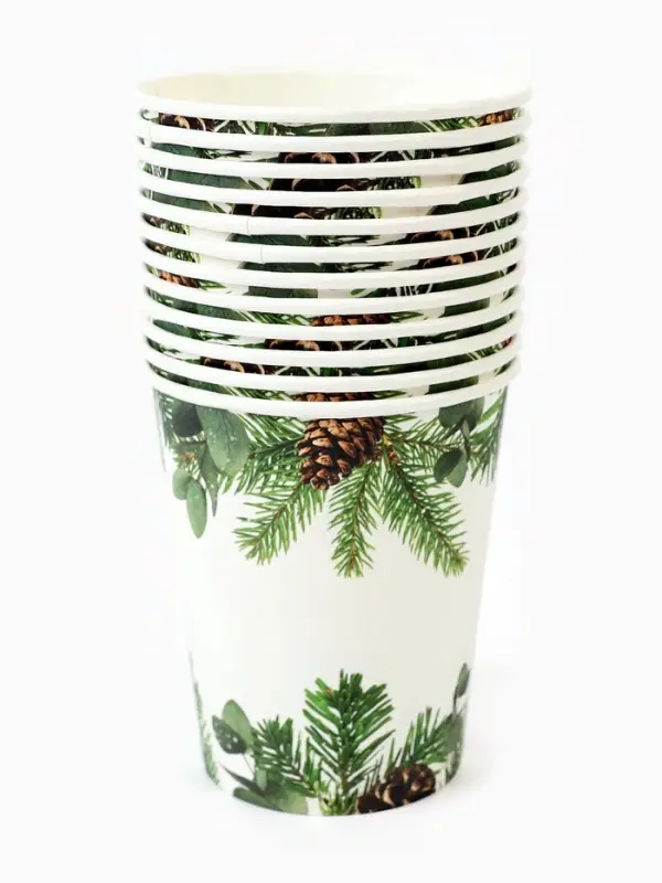 Набор бумажной посуды «С Новым годом», еловые ветки, 12 персон Набор бумажной посуды «С Новым годом», еловые ветки, 12 персон
