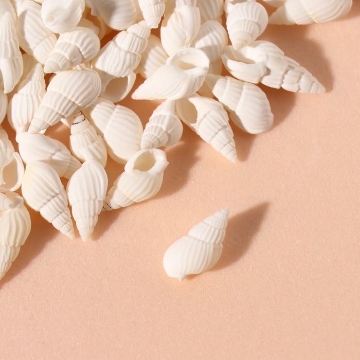 Ракушки природные декоративные "Риссоа белая" набор 100 гр