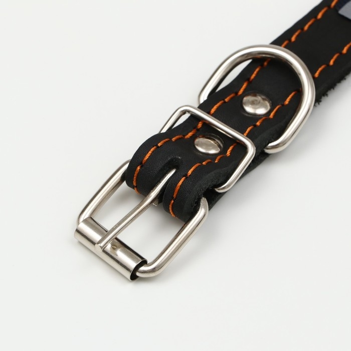 Ошейник кожаный светоотражающий на синтепоне бабочка, 45 х 2 см, ОШ 25-35 см, чёрный Ошейник кожаный светоотражающий на синтепоне бабочка, 45 х 2 см, ОШ 25-35 см, чёрный