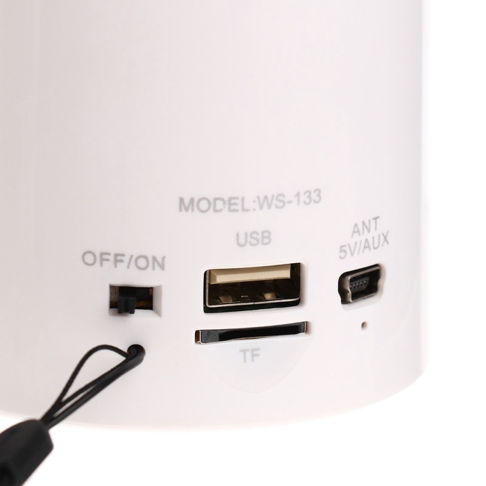 Портативная колонка  WS-133, 3 Вт, microSD, FM, USB, белая Портативная колонка  WS-133, 3 Вт, microSD, FM, USB, белая