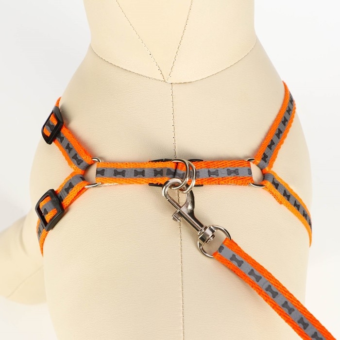 Комплект светоотражающий  Комплект светоотражающий "Косточки", ошейник 120 х 1 см, ОШ 24-40 см, ОГ 24-40 см оранжевый