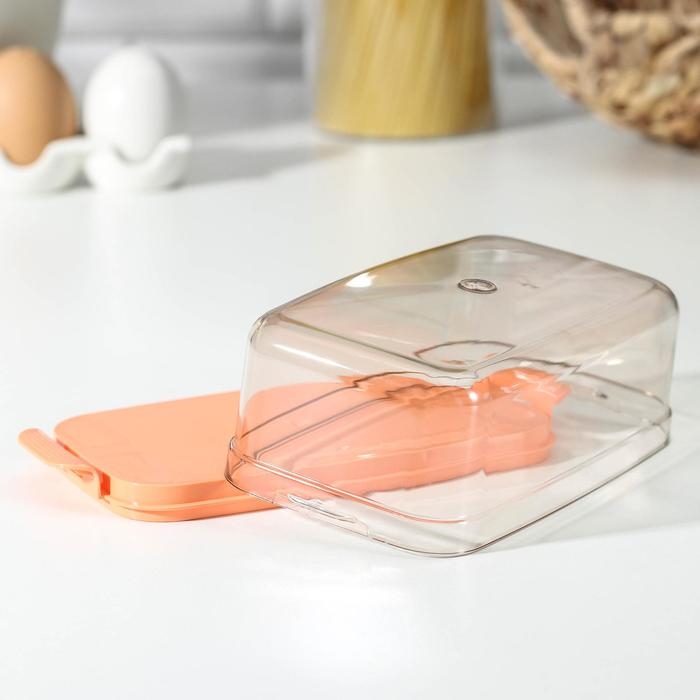 Маслёнка, пластиковая, цвет МИКС Маслёнка, пластиковая, цвет МИКС