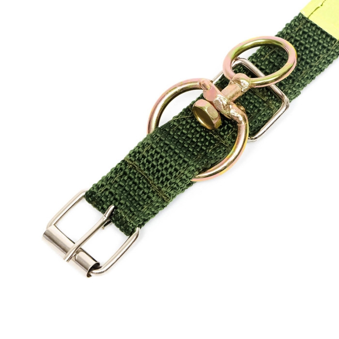 Ошейник двухслойный с вертлюгом, 2 см, зелёный Ошейник двухслойный с вертлюгом, 2 см, зелёный