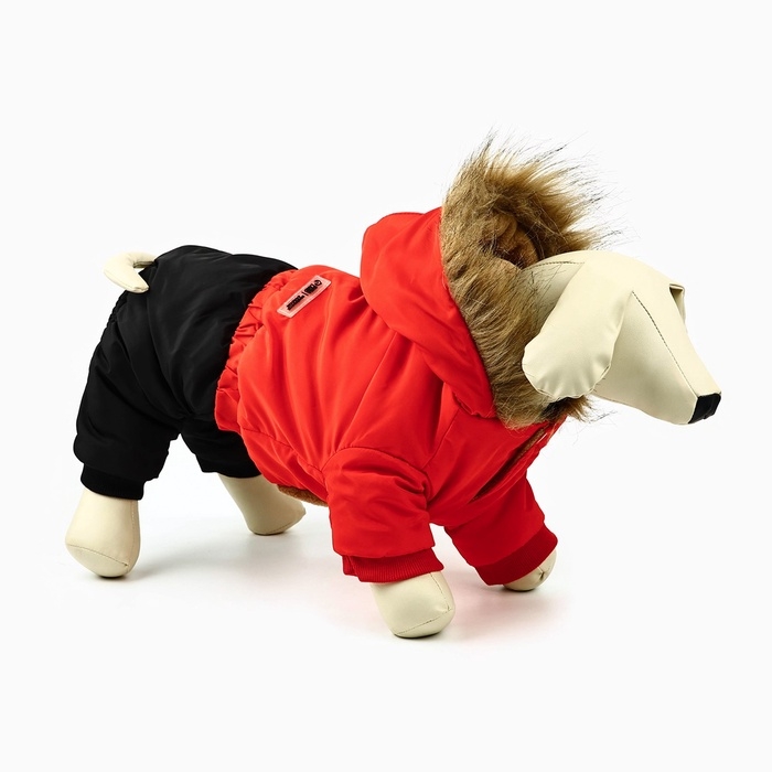 Одежда для собак. Комбинезон зимний «Тёплая зима», красно-чёрный, размер L Одежда для собак. Комбинезон зимний «Тёплая зима», красно-чёрный, размер L