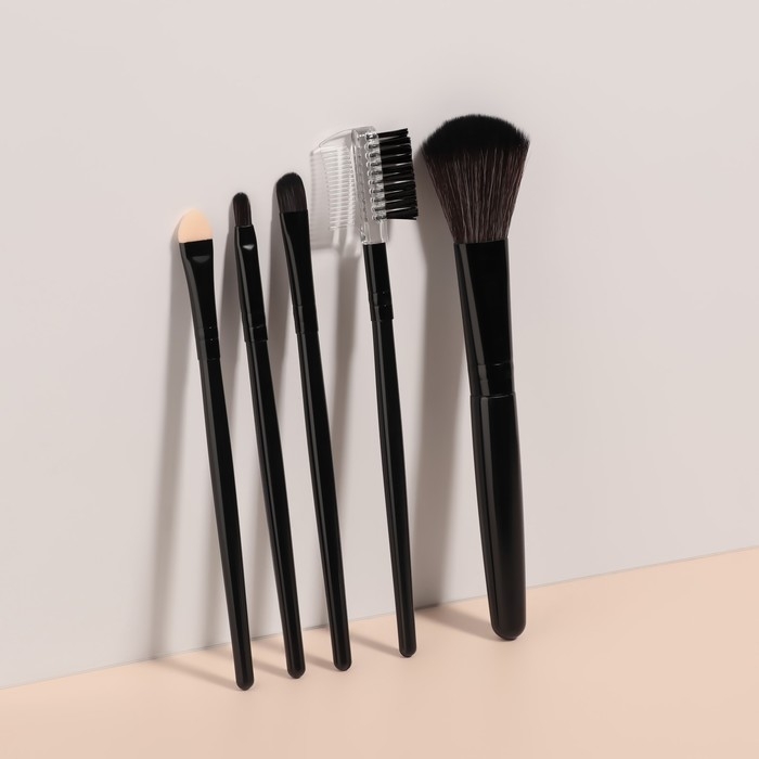 Набор кистей для макияжа, 5 предметов, PVC-чехол, цвет чёрный Набор кистей для макияжа, 5 предметов, PVC-чехол, цвет чёрный