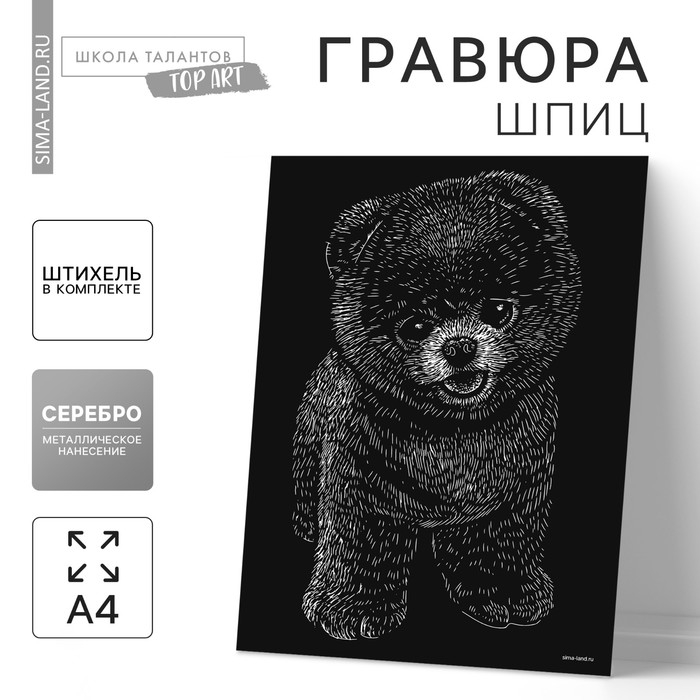 Гравюра на подложке «Шпиц» с металлическим эффектом «серебро» А4 Гравюра на подложке «Шпиц» с металлическим эффектом «серебро» А4