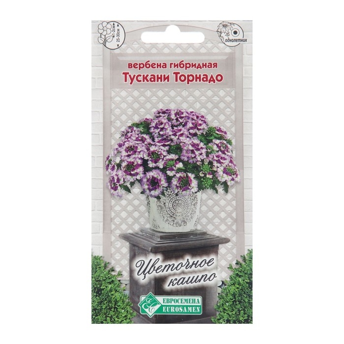 Семена цветов Вербена гибридная Семена цветов Вербена гибридная "Тускани Торнадо", 8 шт