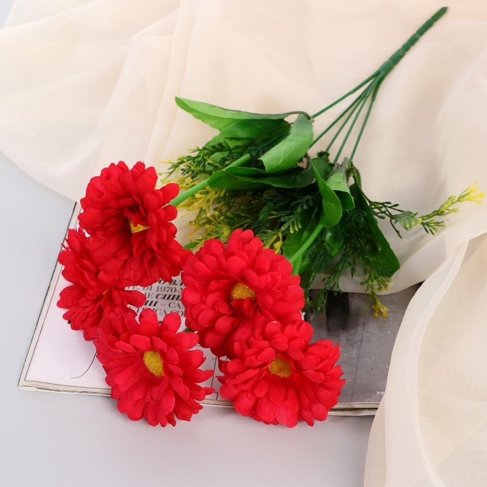 Букет Букет "Цинния открытая" 6х34 см, микс