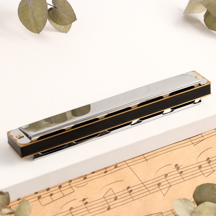 Губная гармошка Music Life T2401 тремоло, с футляром Губная гармошка Music Life T2401 тремоло, с футляром