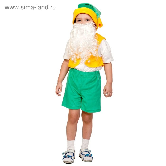 Карнавальный костюм «Гном», плюш лайт, жилет, шорты, колпак, борода, рост 92-116 см Карнавальный костюм «Гном», плюш лайт, жилет, шорты, колпак, борода, рост 92-116 см