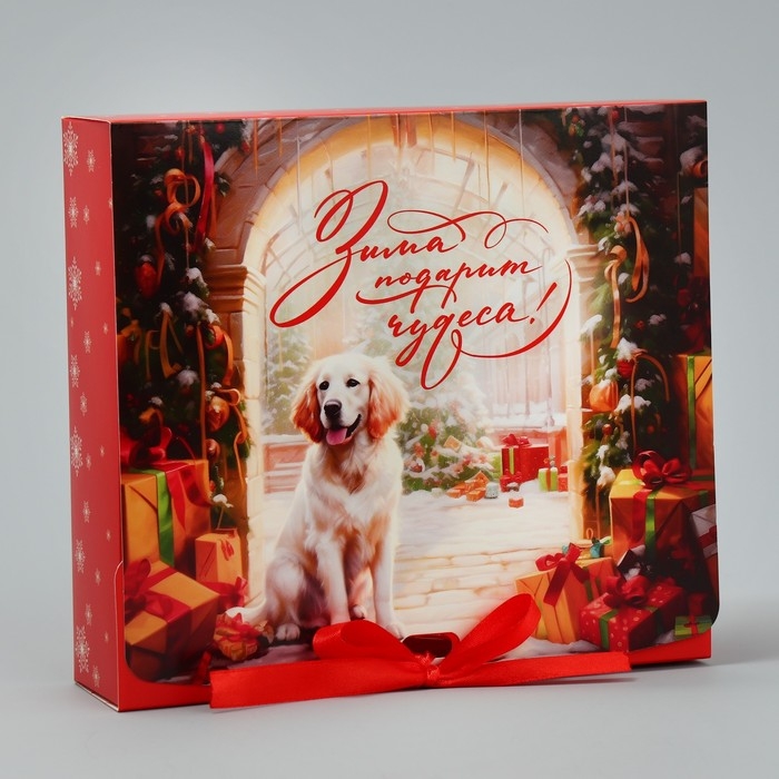 Коробка подарочная новогодняя складная двухсторонняя «Зима подарит чудеса», 20 х 18 х 5 см, Новый год Коробка подарочная новогодняя складная двухсторонняя «Зима подарит чудеса», 20 х 18 х 5 см, Новый год