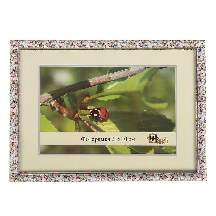 Фоторамка 1017-3190 формат А4 (21х30 см) Фоторамка 1017-3190 формат А4 (21х30 см)