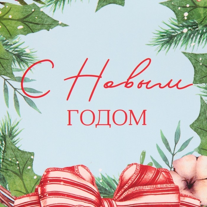 Пакет подарочный новогодний «Венок», 25 х 26 х 10 см, Новый год Пакет подарочный новогодний «Венок», 25 х 26 х 10 см, Новый год