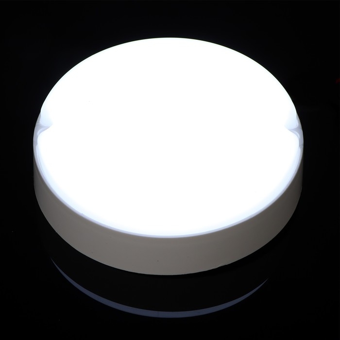 Светильник светодиодный 15 Вт, 1300 Лм, IP65, 6500К, 220 В, КРУГ