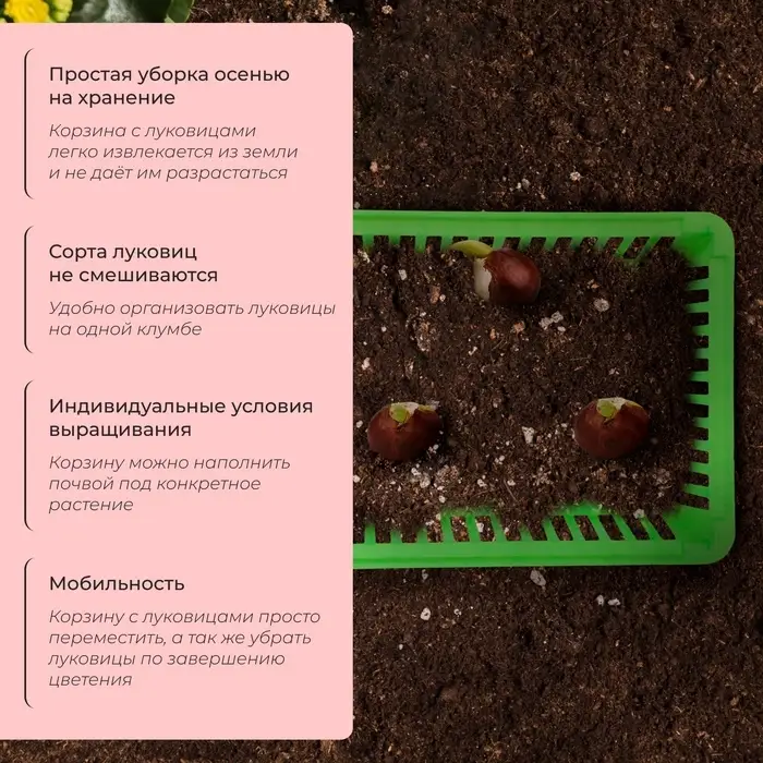 Корзина для луковичных, квадратная, 25×20 см, зелёная, Greengo Корзина для луковичных, квадратная, 25×20 см, зелёная, Greengo