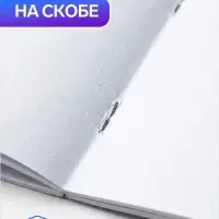 Альбом для рисования Calligrata А4, 24 листа, на скрепке, обложка из мелованной бумаги, МИКС