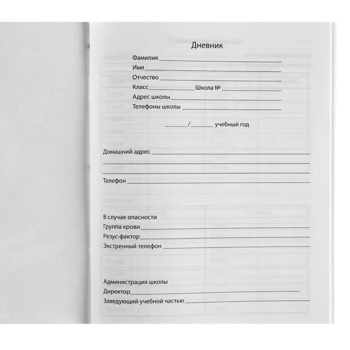 Дневник школьный 1-11 класс, в мягкой обложке, 40 л, &laquo;Гравити Фолз&raquo;