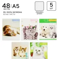 Тетради 5 штук, 48 листов в клетку Calligrata &laquo;Котята&raquo;, обложка мелованный картон, блок офсет