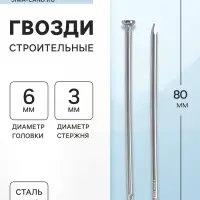 Гвозди ТУНДРА, строительные, ГОСТ 4028-63, без покрытия, 3&times;80 мм, фасовка 1 кг