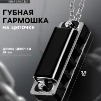 Губная гармошка Music Life 4 отверстия, 8 тонов, 3.5&times;1.5&times;1 см, цепь 28 см, черная