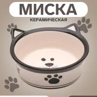 Миска для кошек Пижон &laquo;Подмигивающий кот&raquo;, 200 мл, 11&times;4.8 см, керамика, белая, чёрная