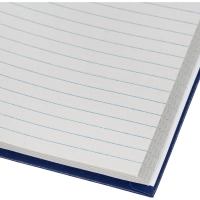 Книга учета Выбор есть А4 96л линейка блок типограф бумвинил