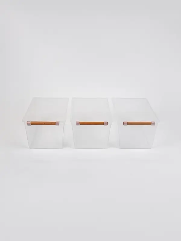 Корзины для хранения Wood Fusion, набор 3 шт.: 33&times;18&times;14 см, пластик, буковое дерево