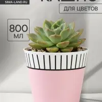 Кашпо для цветов &laquo;Розовое&raquo;, 800 мл, d=11 см, h=12 см, пластиковое