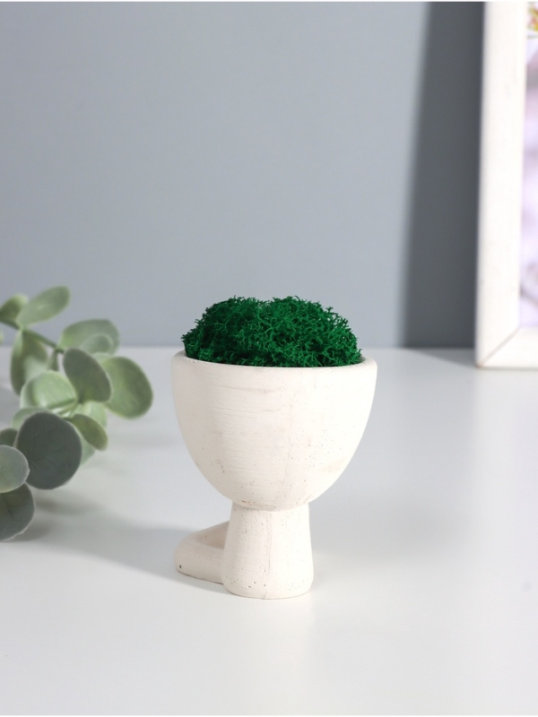 Кашпо бетонное  Кашпо бетонное "Мистер Грин" со мхом 6,7*6*6,5 см белый (мох зеленый стабилизированный)